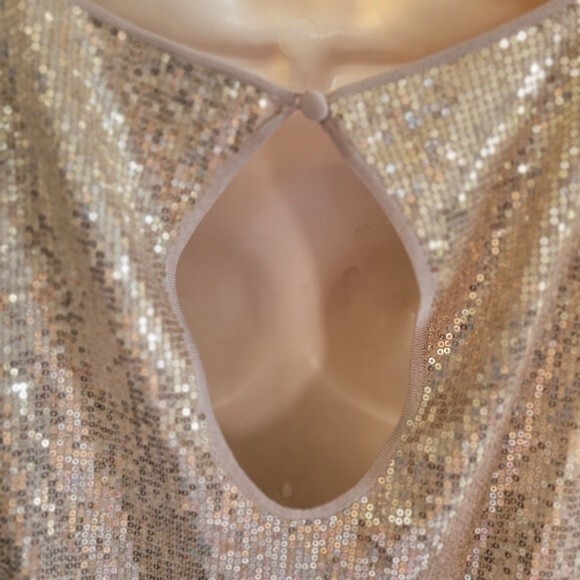 Caché Champagne/Nude Sequins Boat Neck Blouse Size Small - Picture 5 of 7
